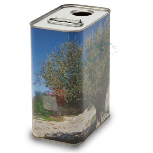 Lattina per olio in banda stagnata, capacità 2 Lt, bocca Ø 32 mm, colore anonimo con albero (bocchello non incluso), Capacità: 2 Lt, Versione: Anonimo con Albero vendita, produzione, prezzi e offerte