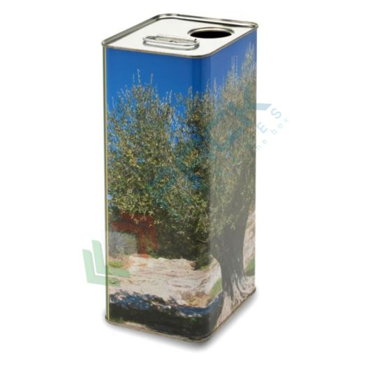 Lattina per olio in banda stagnata, capacità 5 Lt, bocca Ø 32 mm, colore anonimo con albero (bocchello non incluso), Capacità: 5 Lt, Versione: Anonimo con Albero vendita, produzione, prezzi e offerte