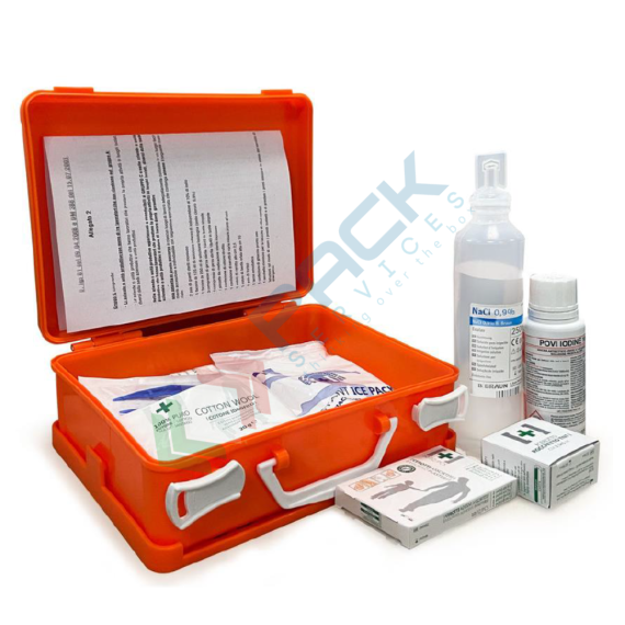 Cassetta pronto soccorso, contenuto base conforme all'allegato 2 del D.lgs. 81/2008-D.M.388/2003, ideale fino a 2 lavoratori (per aziende del gruppo C), Tipologia: Cassetta, Normativa: D.M. 388 e D.L. 81, Nr. Lavoratori: Fino a 2 Lavoratori, Allegato: Allegato 2, Contenuto: Base vendita, produzione, prezzi e offerte