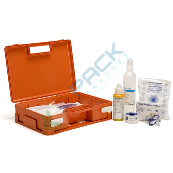 Cassetta pronto soccorso in plastica, conforme all'allegato 2 integrazione del DPP n. 25/2005 Alto Adige, ideale fino a 2 lavoratori (per aziende del gruppo C), Tipologia: Cassetta, Normativa: D.P.P. 25 Alto Adige, Nr. Lavoratori: Fino a 2 Lavoratori, Allegato: Allegato 3, Contenuto: Base vendita, produzione, prezzi e offerte