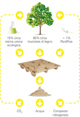 Pallet Inka Ciclo Biochimico